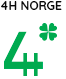 4H